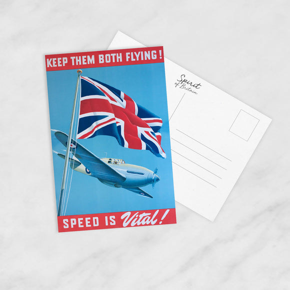 POSTCARD (Pack of 10): Keep Them Both Flying! ML0101