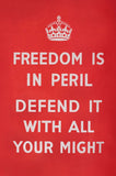 POSTCARD (Pack of 10): Freedom Is In Peril. ML0104